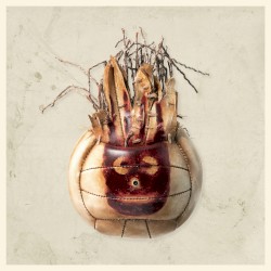 Lost Wilson