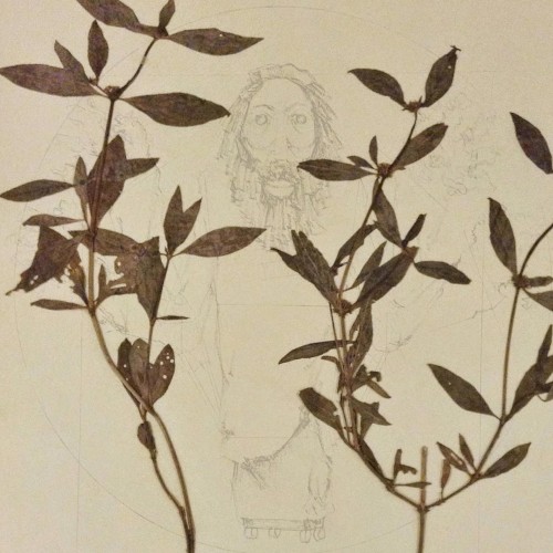 The Oldest View (Original Score), Vol. 1