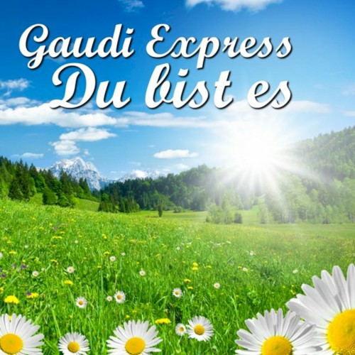 Du bist es