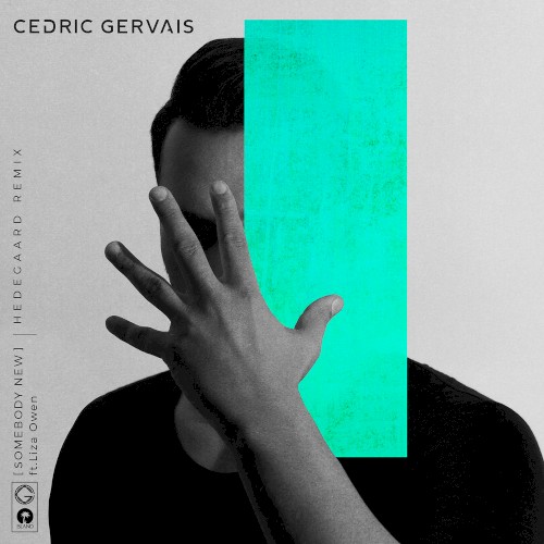 Somebody New (HEDEGAARD remix)