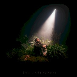 the understory