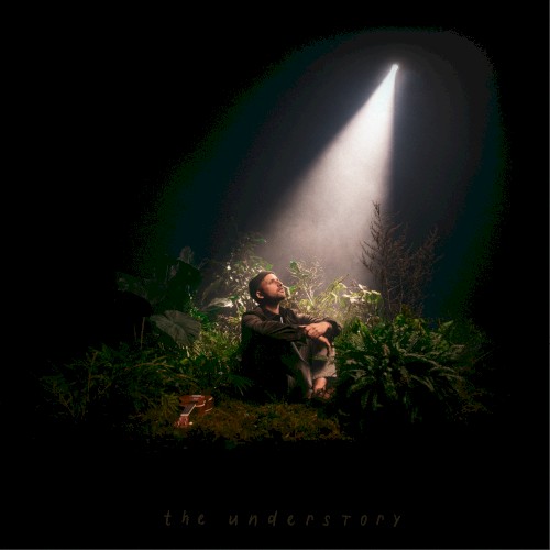 the understory