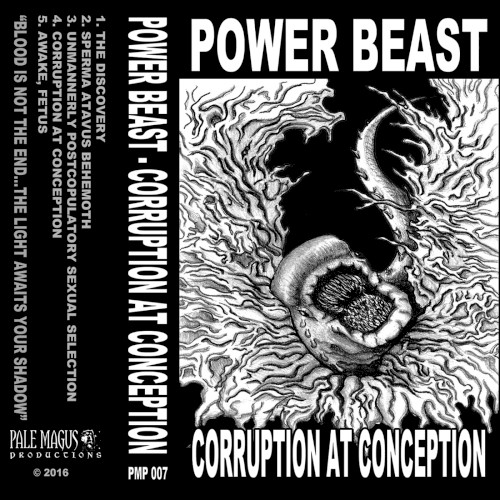 Corruption at Conception