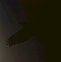 Odin’s Raven Magic