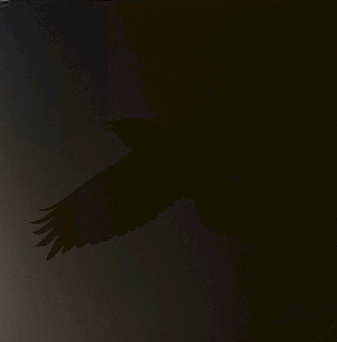 Odin’s Raven Magic