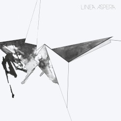 Linea Aspera
