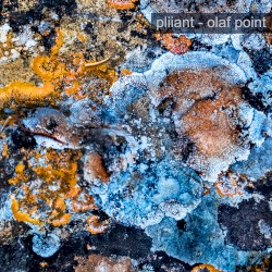 Olaf Point