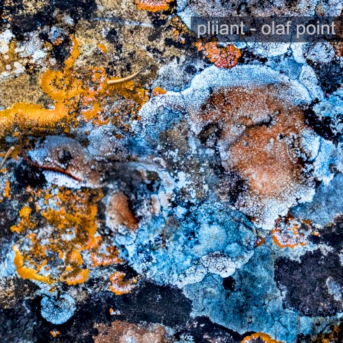 Olaf Point