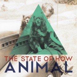 Animal