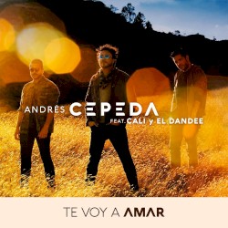 Te voy a amar