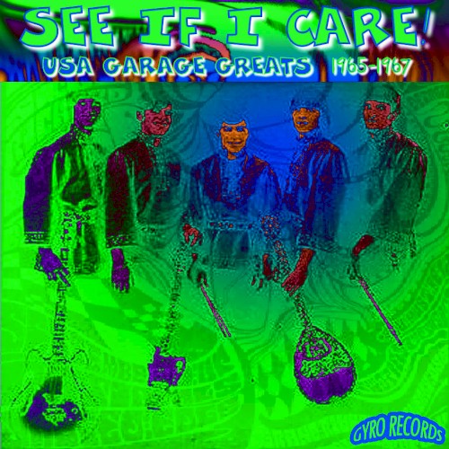 USA Garage Greats 1965-1967: Vol. 61: See If I Care!