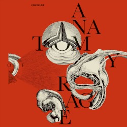 Anatomy of Rage