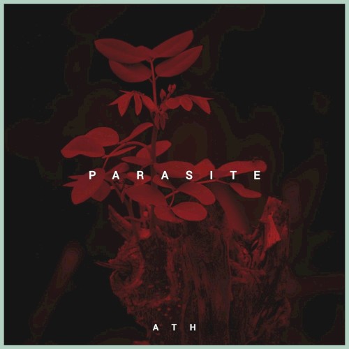 Parasite