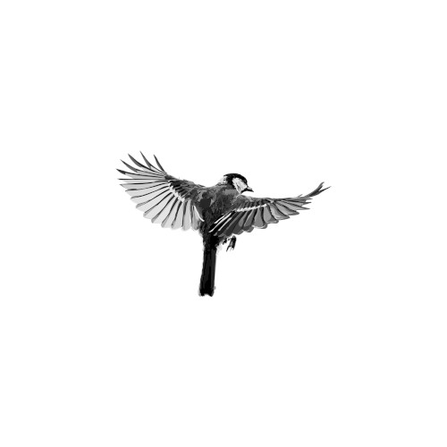 Ƶ
