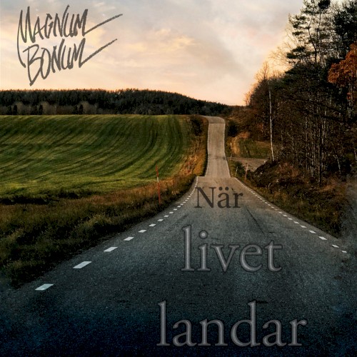 När livet landar
