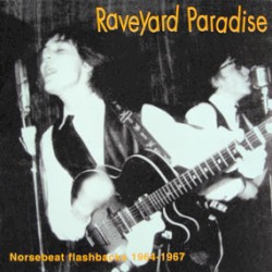 Raveyard Paradise