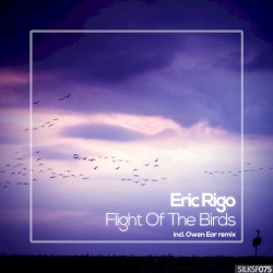 Flight of the Birds