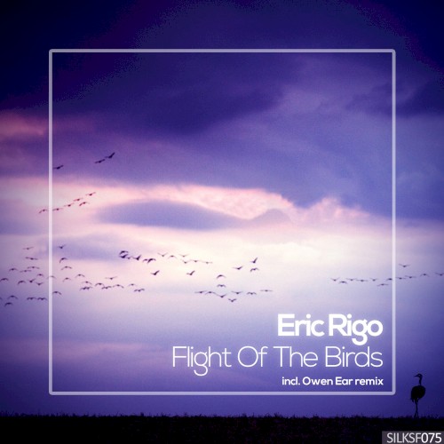 Flight of the Birds