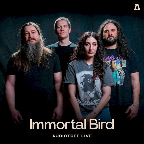 Audiotree Live