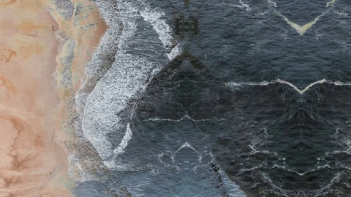 Generative Ocean