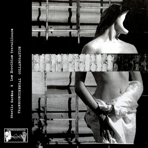 Transcontinental Collaboration