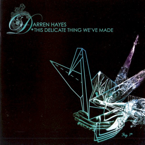 This Delicate Thing We’ve Made