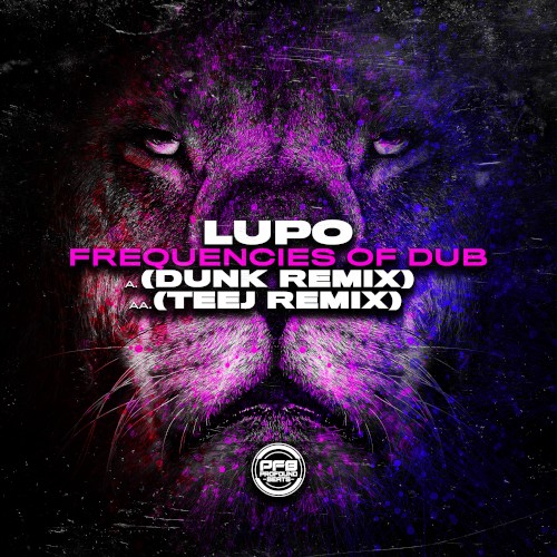 Frequencies of Dub (Dunk remix) / Frequencies of Dub (Teej remix)