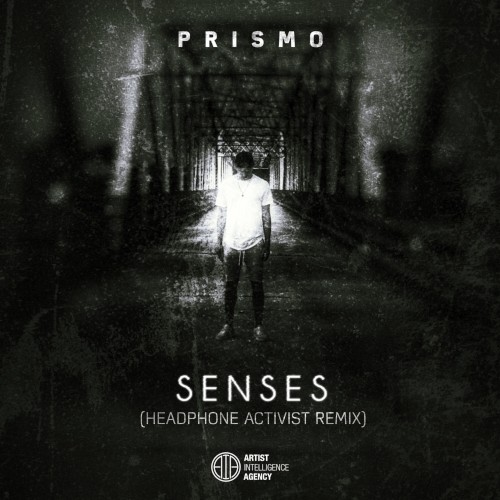 Senses (Headphone Activist remix)