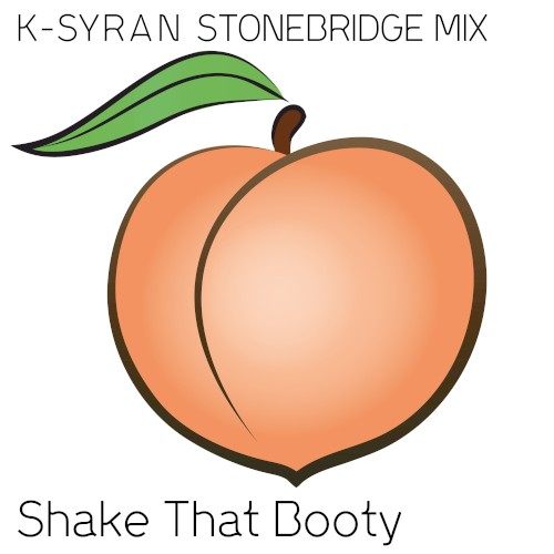 Shake That Booty (Stonebridge mix)