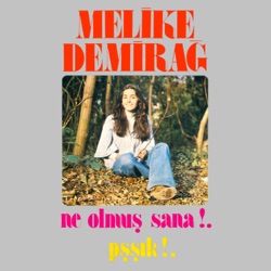 Ne Olmuş Sana!.. / Pşşık!..