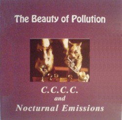 The Beauty of Pollution