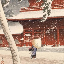 Snowfall