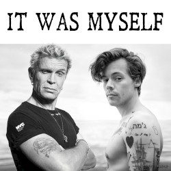 It Was Myself (Billy Idol vs. Harry Styles)