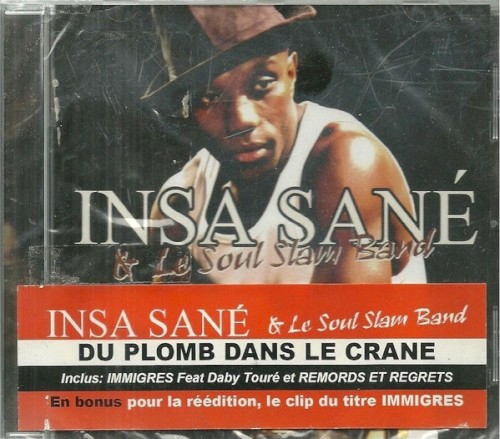 Du Plomb Dans Le Crâne