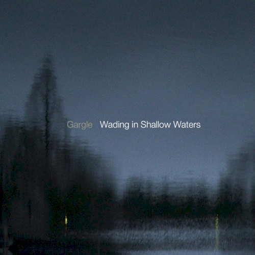 Wading in Shallow Waters