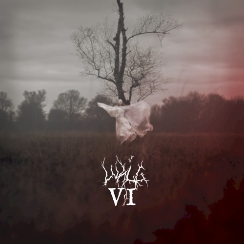 VI