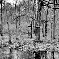 Invisible Bridge