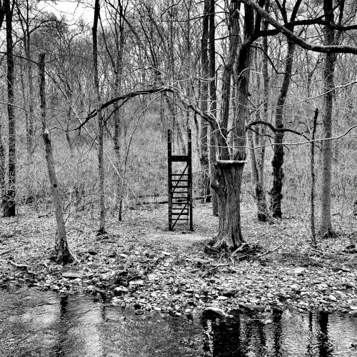 Invisible Bridge