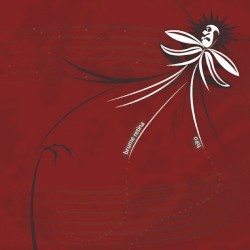 Brume Retina / Hiro