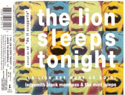 The Lion Sleeps Tonight