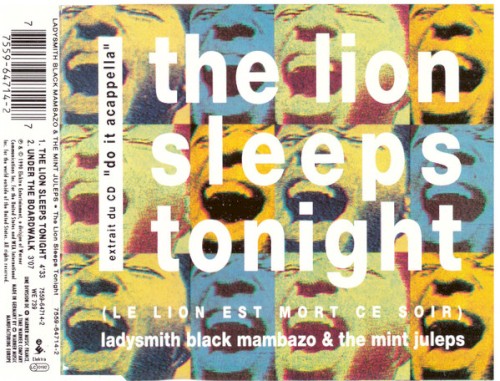 The Lion Sleeps Tonight