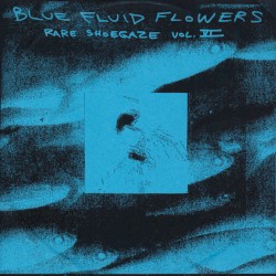 Blue Fluid Flowers: Rare Shoegaze Vol. VI