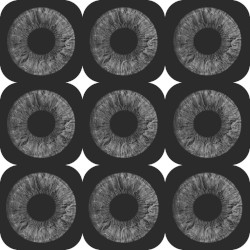 4 My Eyes Only