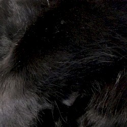 Isolation Loops 2
