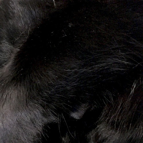 Isolation Loops 2