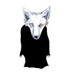Little Blue Fox