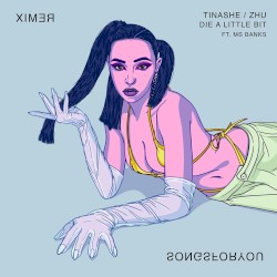 Die a Little Bit (remix)