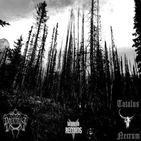 Panzerfaust / Totalus Necrum