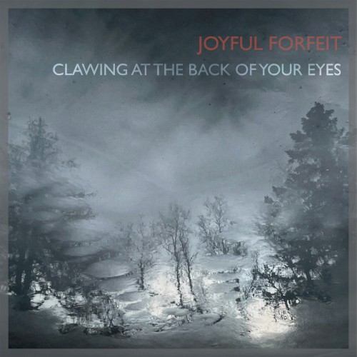 Clawing at the Back of Your Eyes