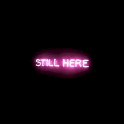Still Here
